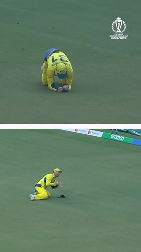 Outfield catching at its best 🔥 #CWC23 #AUSvSL #Cricket #CricketReels | ICC - International Cricket Council