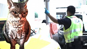 We are ICA officers, of course we safeguard our borders 24/7 (public holidays included)! 😉 Thanks to our officers and all who are working this Labour Day! #HappyLabourDay #GuardiansOfOurBorders #SecureBordersSafeSG | Immigration & Checkpoints Authority