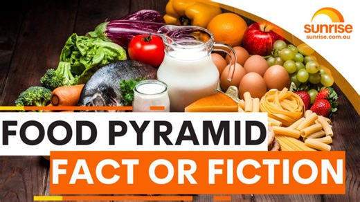 Food pyramid fact or fiction