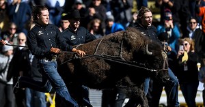 College football's top entrances: 10 we love to see on game days