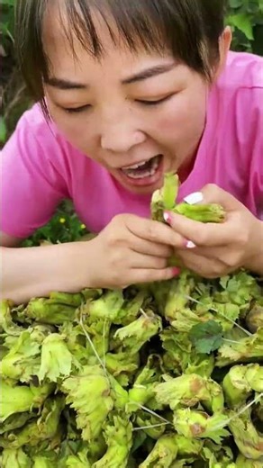 A Mountain of Fresh Hazelnuts! 🌰🌳