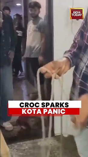 Croc Sparks Kota Panic | Crocodile Enters Park, Rescued After Student Scare #viral