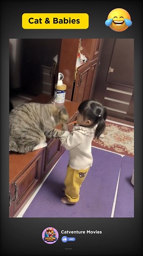 Cat vs Babies Funny 🤣 #cat #catvideos #funny #babies | Catventure Movies