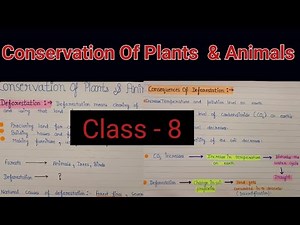 Class 8 science chapter 7 notes | Conservation of plants and animals class 8 notes