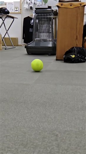 PLAYERZ-特殊重心グローブ専門店- on Instagram: "特殊重心販売中！ ⁡⁡123人全員で検証 ⁡なぜ特殊重心グローブだけ平均７キロも上がっているのか！？ ⁡⁡ ⁡特殊重心は脅威の96%の⁡選手が球速アップ！⁡⁡ ⁡体幹機能は脅威の100%の選手が向上!! ⁡骨盤後傾･肘抜けの方以外はその場で即上がってる！⁡⁡ ⁡ ⁡骨盤後傾の酷い方は姿勢改善をグラブで出来た後や、施術後に本来の効果をより感じられます！⁡⁡(骨盤後傾の方は、上記95%の方の中にも多く含まれています。) ⁡肘抜けはいくつかの動作刷り込みで改善致します！ ⁡ ※特殊重心グローブは当店オリジナルとなります。ご購入またオーダーは当店の公式LINEへご連絡ください🎶 https://lin.ee/GPdNR6J 特殊重心っぽいグラブとは全くもって違います！ オンラインショップでも販売中 無くなる前にお早めに！ 特殊重心グローブはPLAYERZだけ 物事は本質が大事 数ヶ月後の自分へ投資！ 球の質も！練習の質もあげる！ グローブで差がつく時代 #特殊重心グローブ どの連盟でも使用可能です！ ⁡ プロフィール⇒公