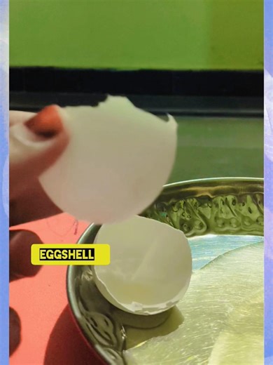 The parts of an egg🥚🍳#experiment #explore #youtube #shorts