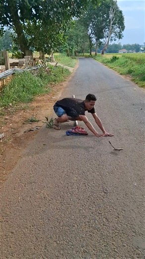 almost failed to grab it but it came off straight away #uniqueanimals #cuteanimals