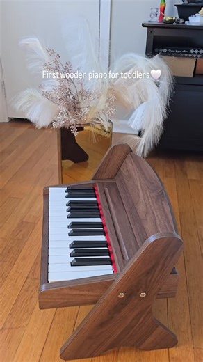 Watching my little guy discover music for the first time 🥹🎹 This wooden piano has quickly become a favorite in our house. It’s made of real wood, perfectly sized for toddlers, and such a lovely first piano for little hands. It has volume control (yes please 🙌), works with batteries or plugged in, and the sound is actually really nice. It also comes with note letter stickers you can stick on the keys, which makes it so much easier for kids to recognize sounds and start connecting notes while t