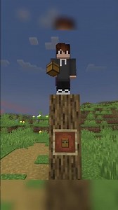 Best way to hide your items in Minecraft #shorts #minecraftshorts #minecraft #minecraftmemes