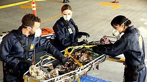 Watch Bones Season 10 Episode 14 - The Putter in the Rough