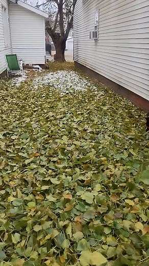 Sam's ok. 🐾💖🐾 | Bonnie Miller