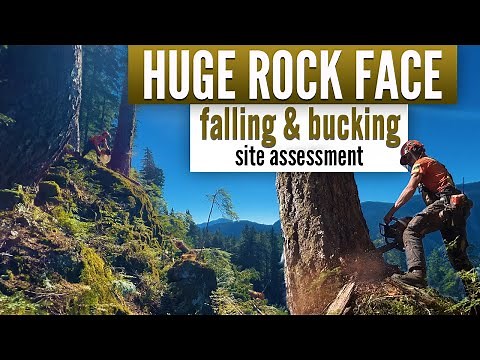 Day in the life of a Heli-Logger | High Grade Helicopter logging in Canada