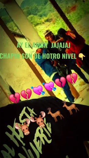 Distrito 13 on TikTok