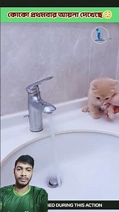 jader kase bidal ase tara comment a bolo...