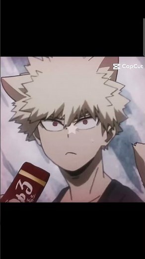 Bakugo cat 💥🐱
