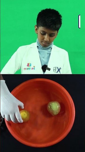 Do Fruits Float or Sink? | Easy Buoyancy Experiment for Kids |