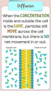 GCSE Diffusion