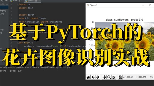 吹爆！b站最新最全的基于Pytorch框架的花卉图像识别模型实战，原理详解 项目实战，看完就能跑通，毕设有救了！—人工智能/图像识别/源码/研一