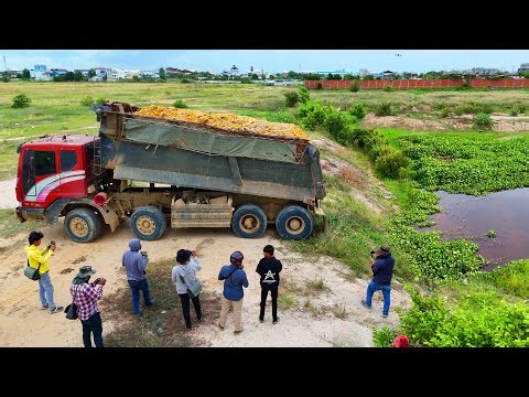 O.M.G!!! Be Aware! Processing Landfill Using Dump Truck 25.5Ton & T Dozer Pushing Soil into Flooded!