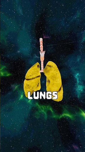 How to breathe under liquid without drowning 🫁💧