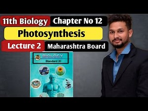 11th Biology | Chapter 12 | Photosynthesis | Lecture 2 | maharashtra board |