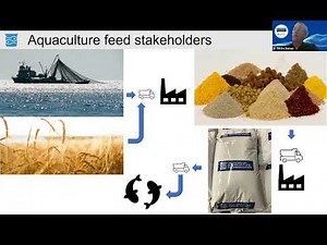 Latest developments in sustainable aquaculture feeds