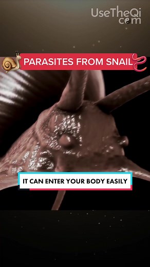 Qi Coil™ Parasite Cleanse on TikTok
