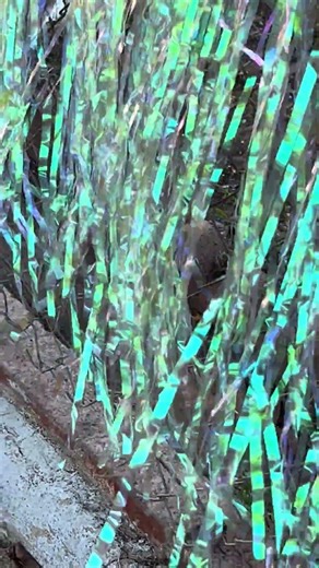 Shimmery iridescent sparkle waves on a chain link fence