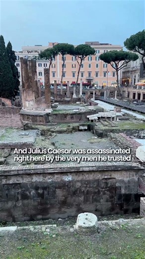 The Cat Sanctuary in Rome above the most famous crime scene of history