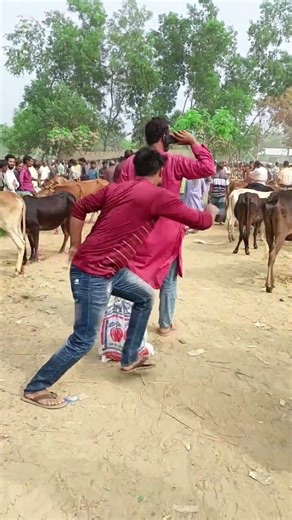 Stealing a goat by cutting its rope