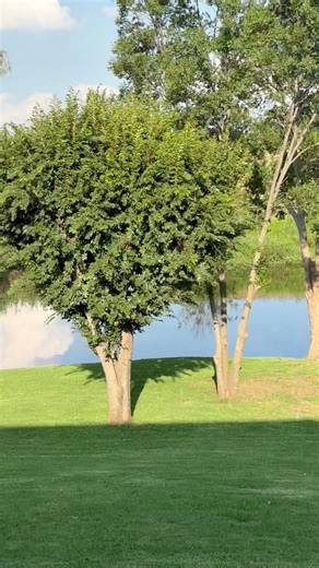 Riverside Lounge: Exclusive Waterfront Venue for Weddings and Events