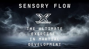 Warrior Flow - Sensory Flow Course Full
