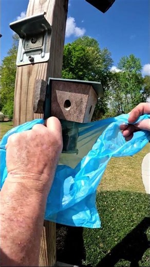 Bees bagged by Bakerman!