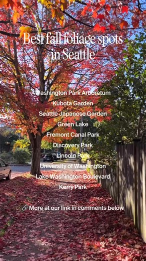 8.1K views · 67 reactions | We are in the peak of beautiful fall foliage in Seattle  don’t miss these picturesque spots and check out more at the link in our comments below  | Secret Seattle | Facebook