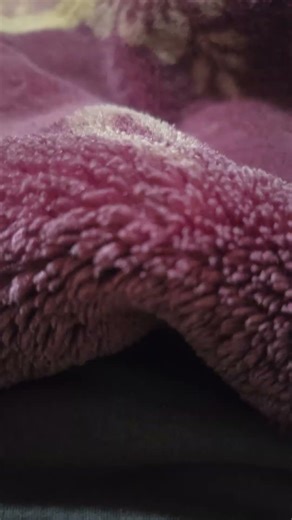 oh oh wish i wish i but its kinda the normal sound. #shortvideo #memes