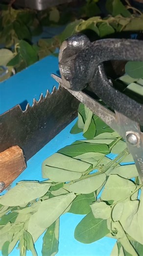 How to sharpen a wood saw is very easy, see this video
