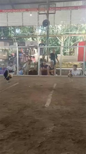 Cantabaco Cockpit Arena on Reels