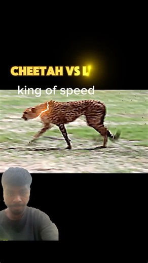 Speed king #shortsfeed ￼