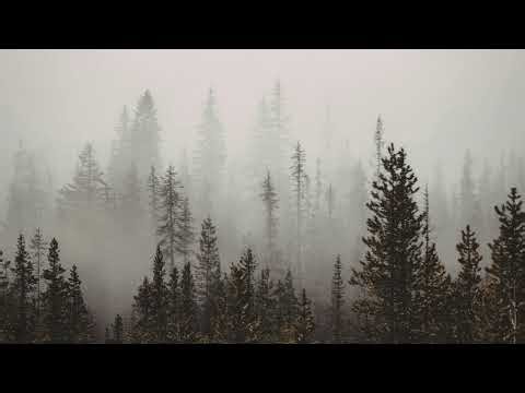 Frame TV Art Foggy Forest Landscapes 4K Screensaver