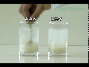 水の実験お米の実験
