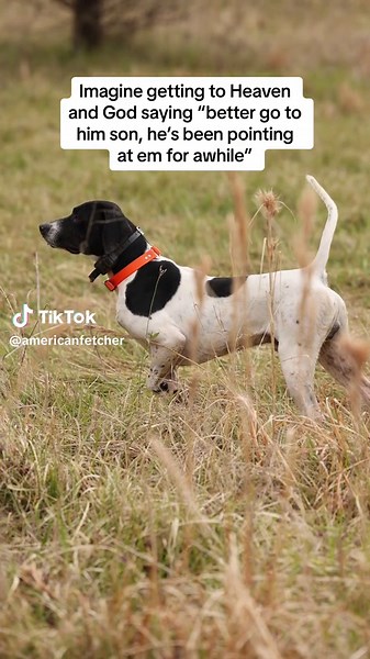 😭 #americanfetcher