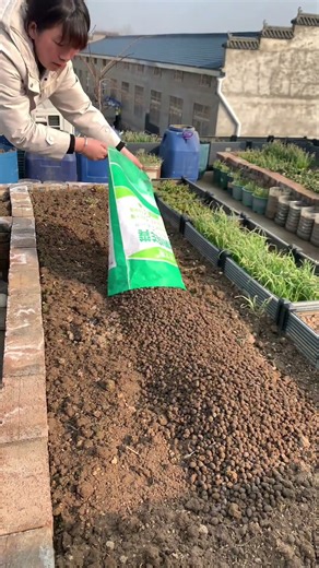 Fermented sheep manure is a very good organic fertilizer, especially suitable for base fertilizer