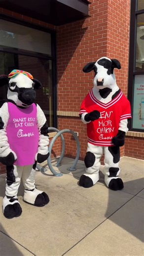 17 reactions | The Chick-fil-A Cows have officially taken the dance floor… and things just got udderly competitive.  Oh, and by the way, there’s a cow sighting today from 1-5pm.   Stop by, bring your camera and grab a picture. #chickfilawaynesville | Chick-fil-A Waynesville NC | Facebook