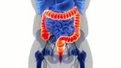 3D Animation Concept of Human Digestive System Large Intestine Anatomy