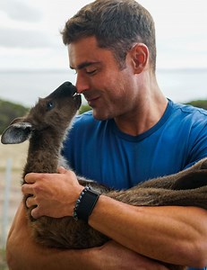 Here’s Zac Efron Swimming Shirtless With Dolphins and Posing With Baby Kangaroos