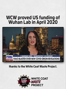 731 reactions · 396 shares | WCW Project was FIRST to EXPOSE how EcoHealth Alliance funneled US taxpayer $ to the Wuhan lab for dangerous animal experiments that likely caused the pandemic. Get the facts here ⬇️ | White Coat Waste | Facebook