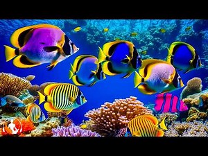 Musica Relajante para Calmar la Mente, Aliviar la Ansiedad, Sanar el Alma y Dormir Bien #48