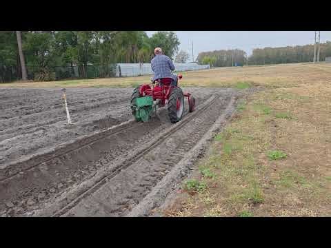 Planting Peanuts with A 1952 Farmall Cub
