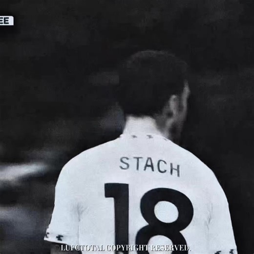 Anton Stach Highlights and Skills Compilation