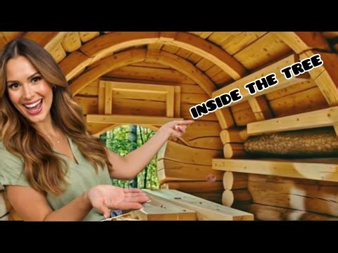 I Built a Home Inside a Tree